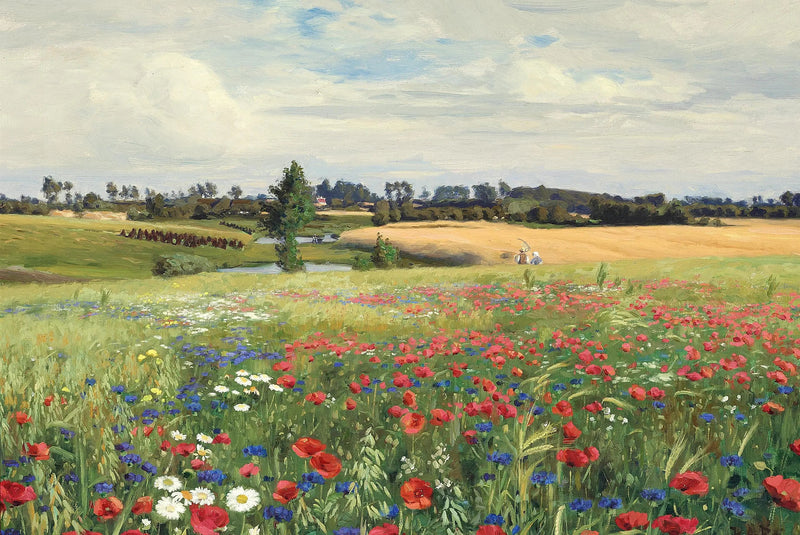 Pole chabrów, maków i margaretek. - H. A. Brendekilde