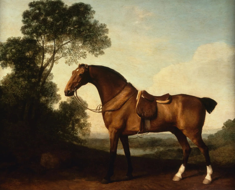 Myśliwy na koniu z okrągłym tarczem - George Stubbs