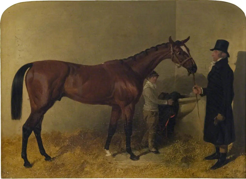 Biały koń wyścigowy w boksie - John Frederick Herring, Sr.
