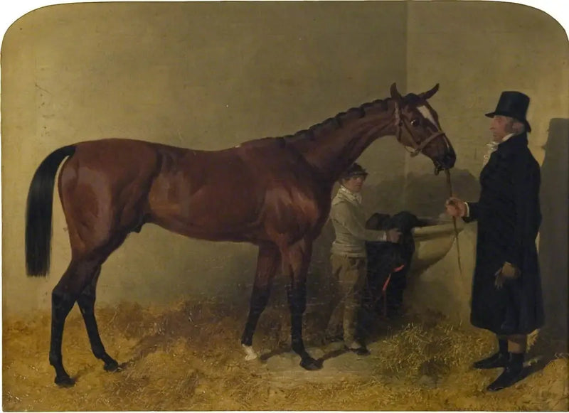 Biały koń wyścigowy w boksie - John Frederick Herring, Sr.