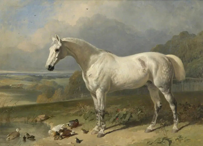 Szary koń i kaczki na pejzażu - John Frederick Herring, Sr.