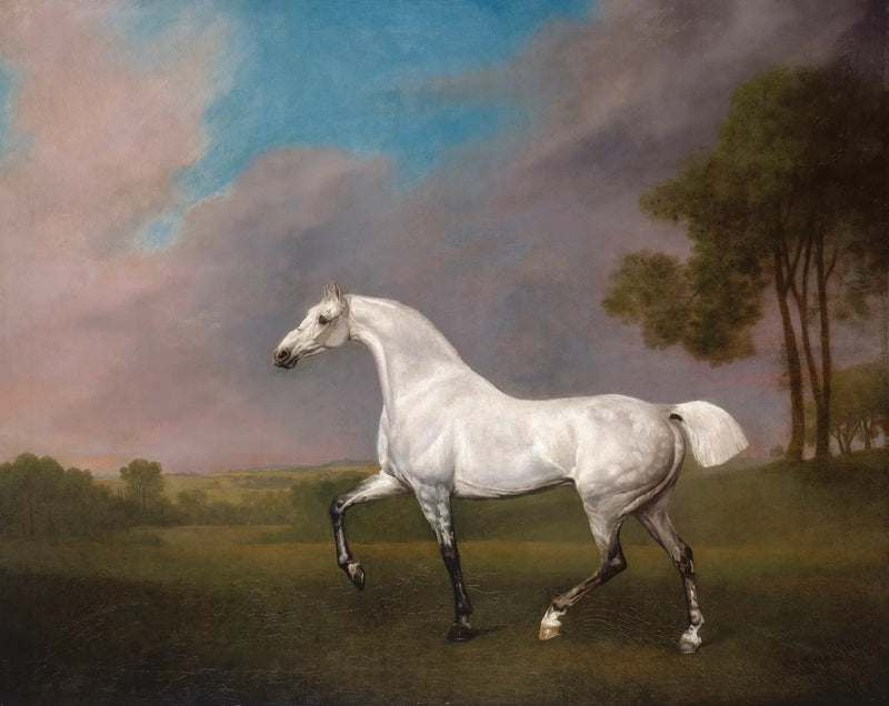 Szary koń - George Stubbs