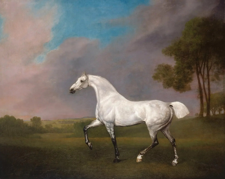 Szary koń - George Stubbs