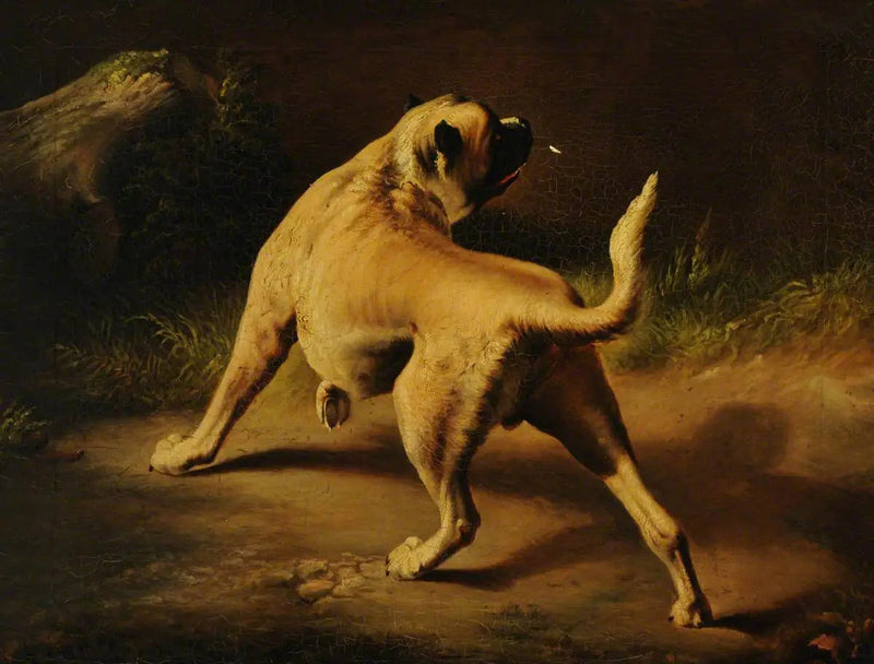 Pies w stanie czujności - Edwin Henry Landseer