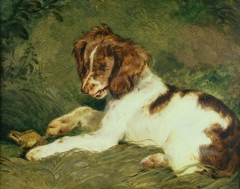 Szczenię dokucza żabie - Edwin Henry Landseer