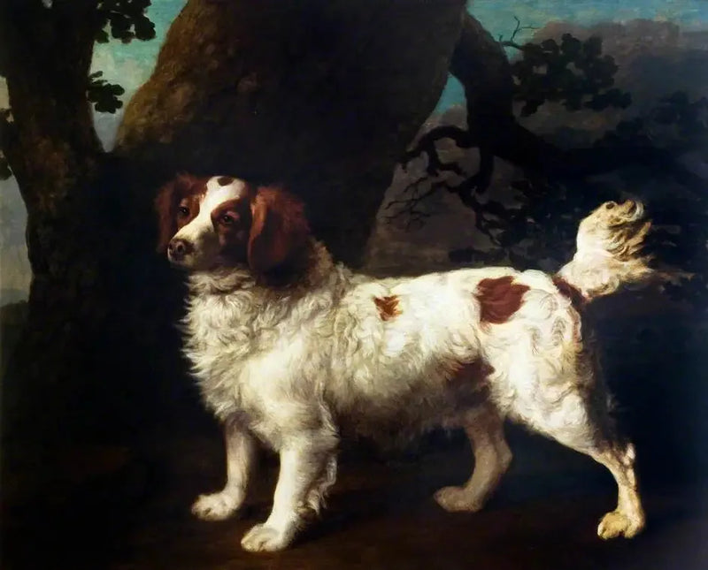 Clumber Spaniel - George Stubbs
