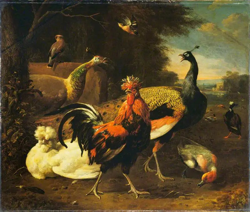 Un coq avec d’autres oiseaux - Melchior de Hondecoeter - Alpha Reproduction