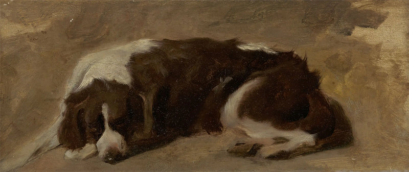 Leżący spaniel angielski - Edwin Henry Landseer