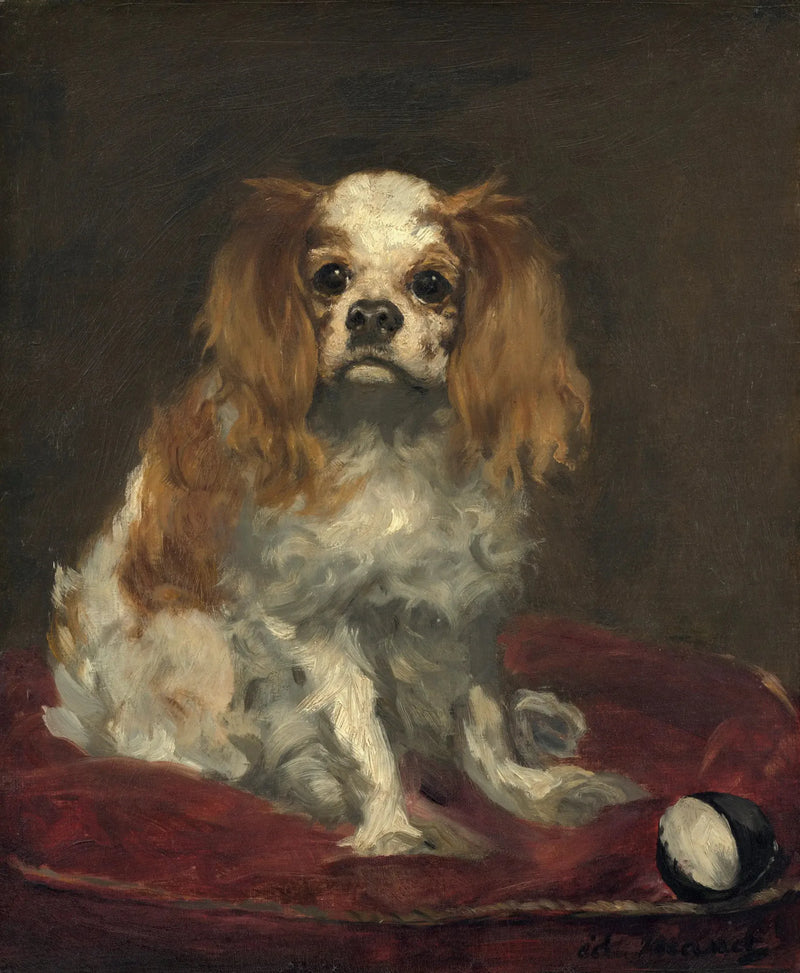 King Charles spaniel - Édouard Manet