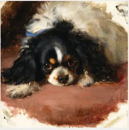 Spaniel King Charles - Edwin Henry Landseer