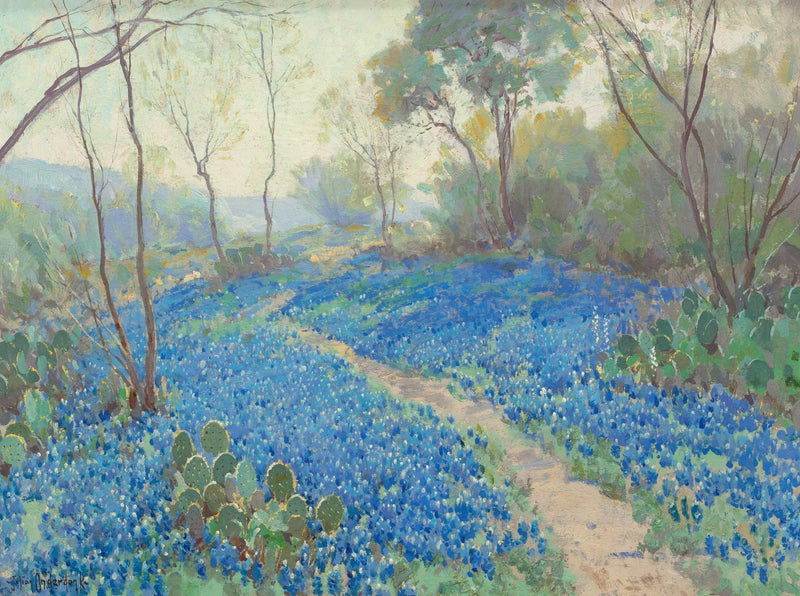 Bok wzgórza pokryty niebieskimi lupinami, wcześnie rano, w pobliżu San Antonio, Teksas. - Julian Onderdonk