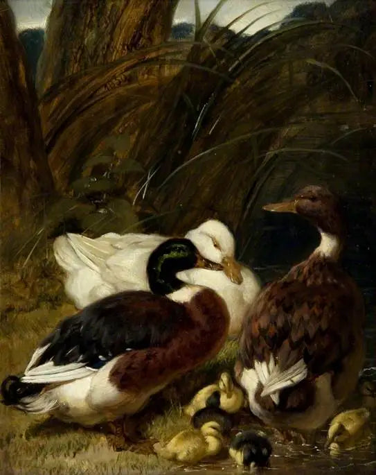 Grupa kaczek - John Frederick Herring, Sr.