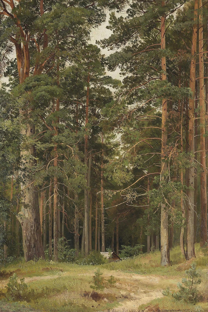 Letni dzień. Merikiul' - Iwan Chichkin