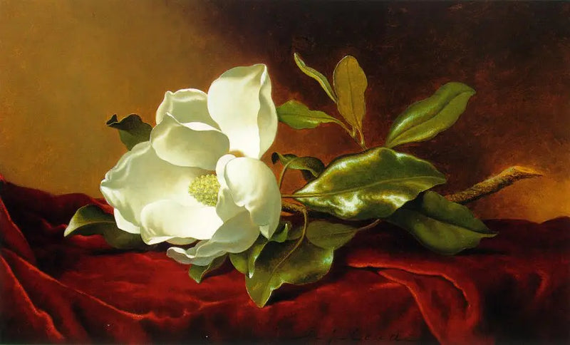 Magnolia na czerwonym aksamicie - Martin Johnson Heade