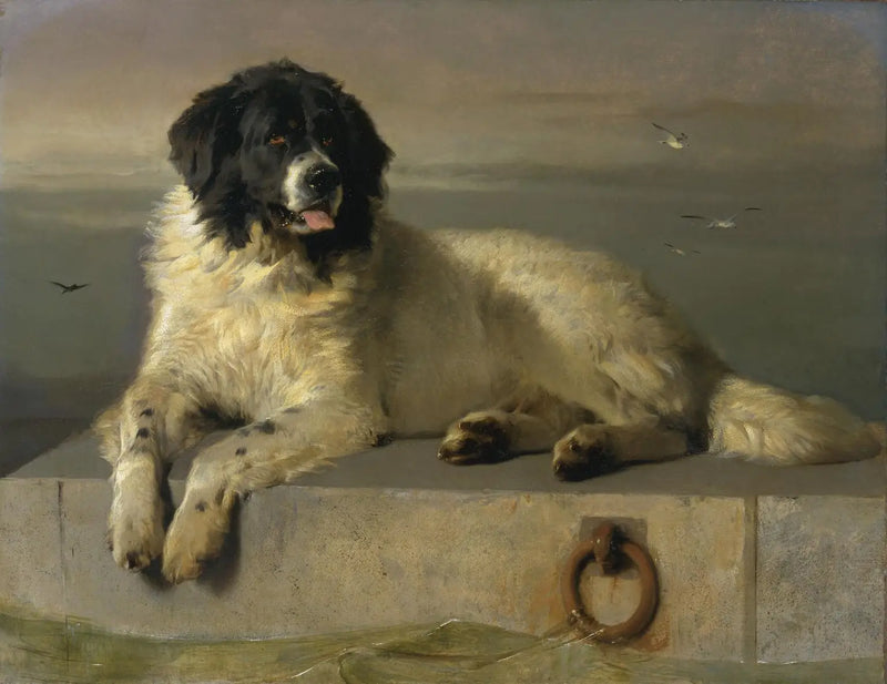 Wybitny członek Towarzystwa Humanitarnego - Edwin Henry Landseer