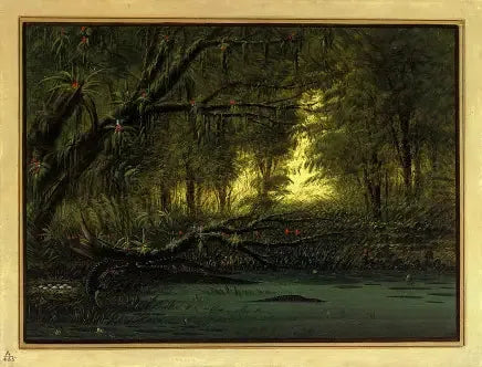 Gniazdo aligatora - George Catlin