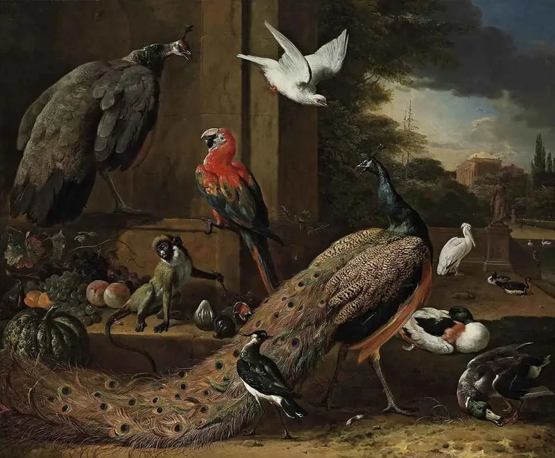 Paw, pawica, małpa i inne ptaki na tarasie - Melchior de Hondecoeter
