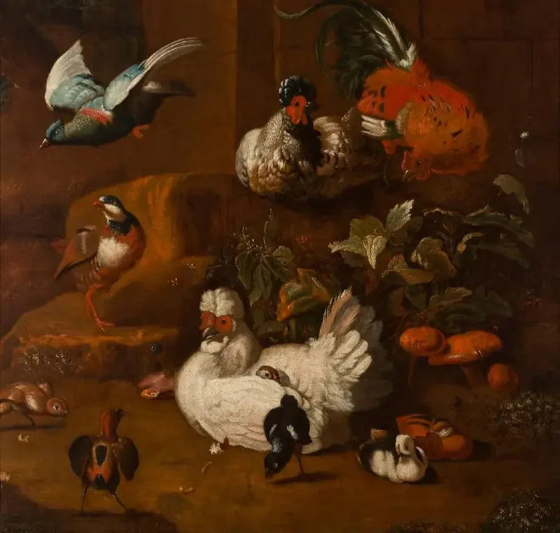 Zbiór ptaków - Melchior de Hondecoeter