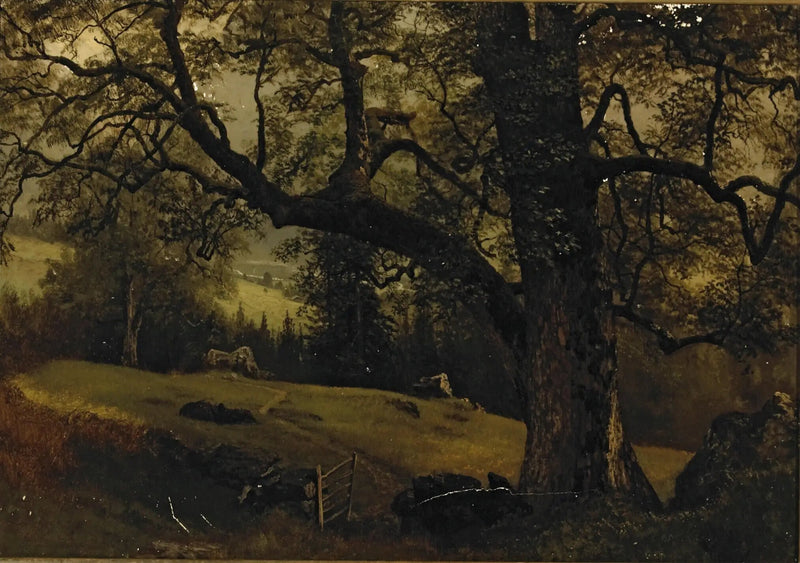 Ścieżka przez drzewa - Albert Bierstadt