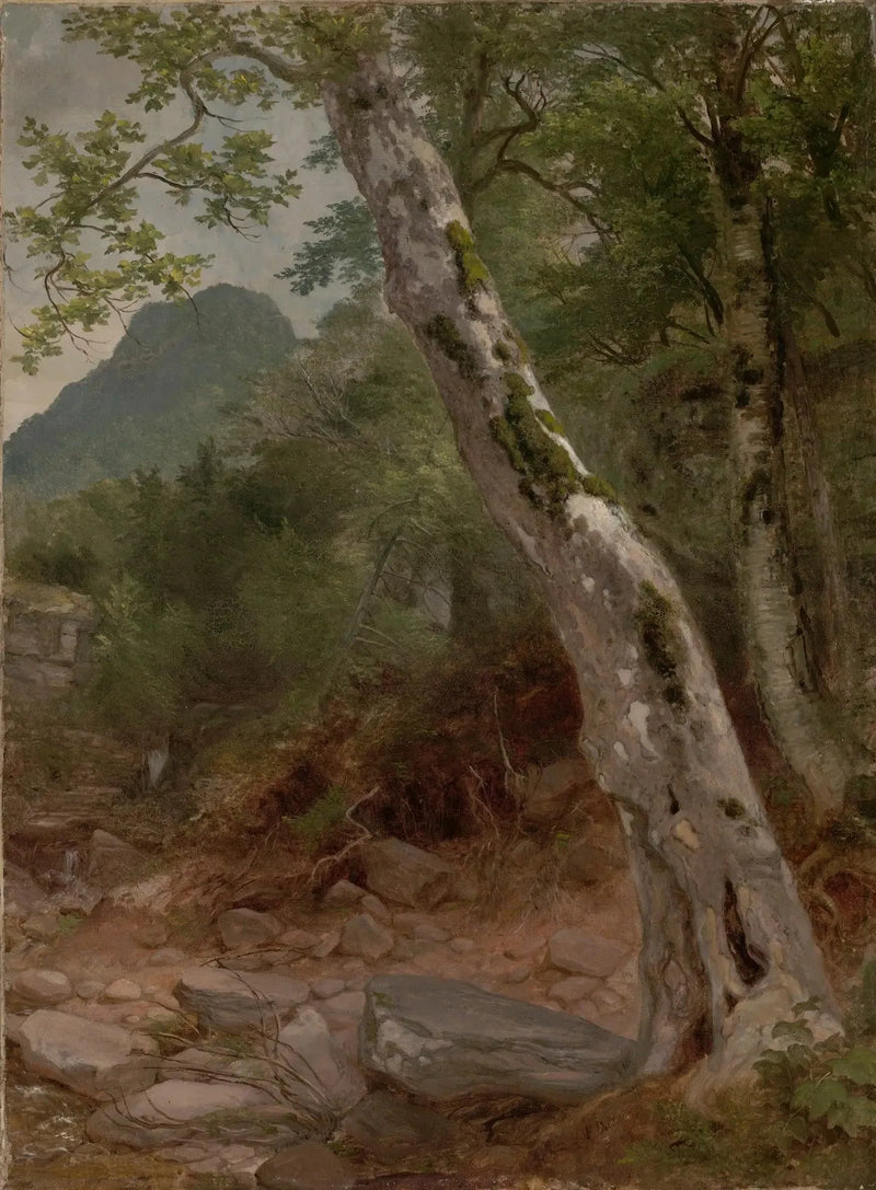 Sykomira, Plaaterkill Clove - Asher Brown Durand
