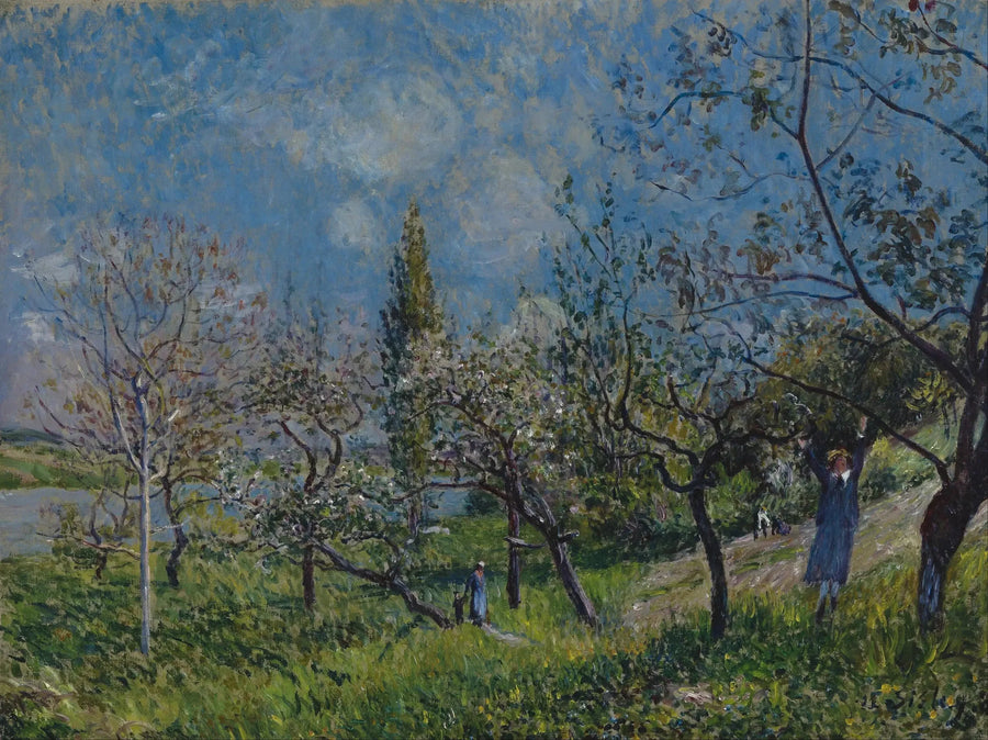 Sad wiosną, Autor - Alfred Sisley