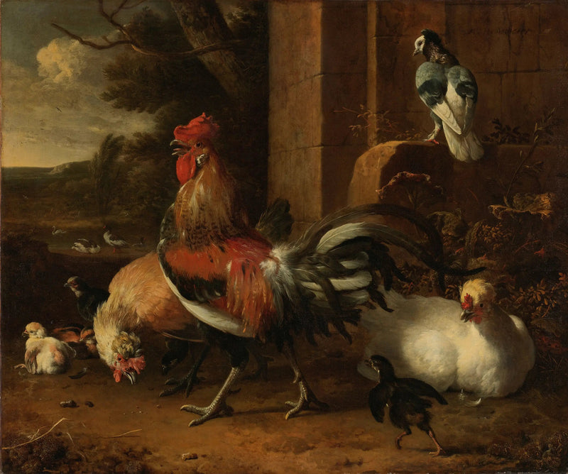 Chów drobiu - Melchior de Hondecoeter