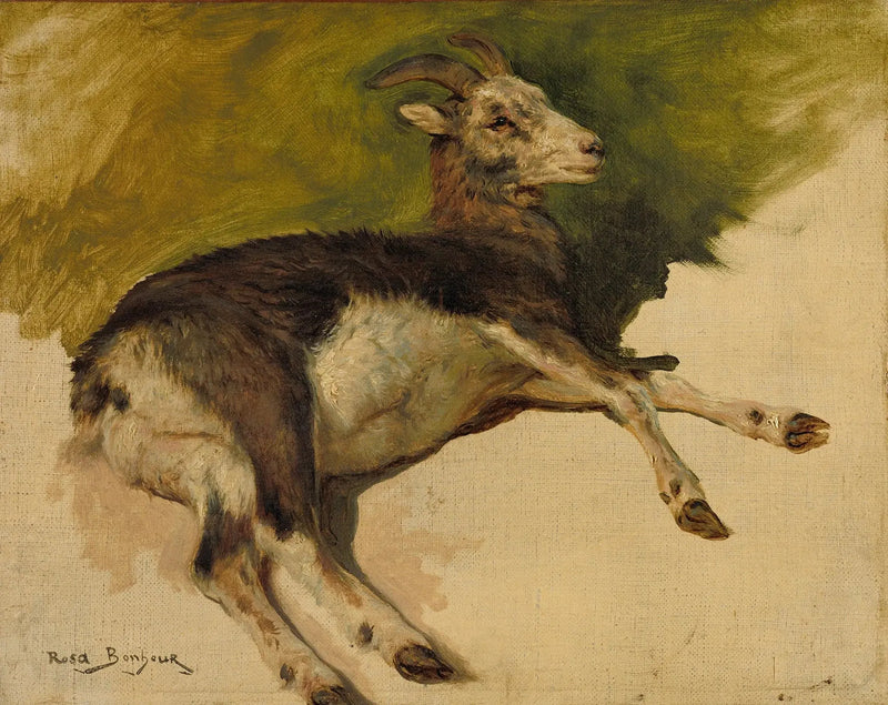 Koza - Rosa Bonheur