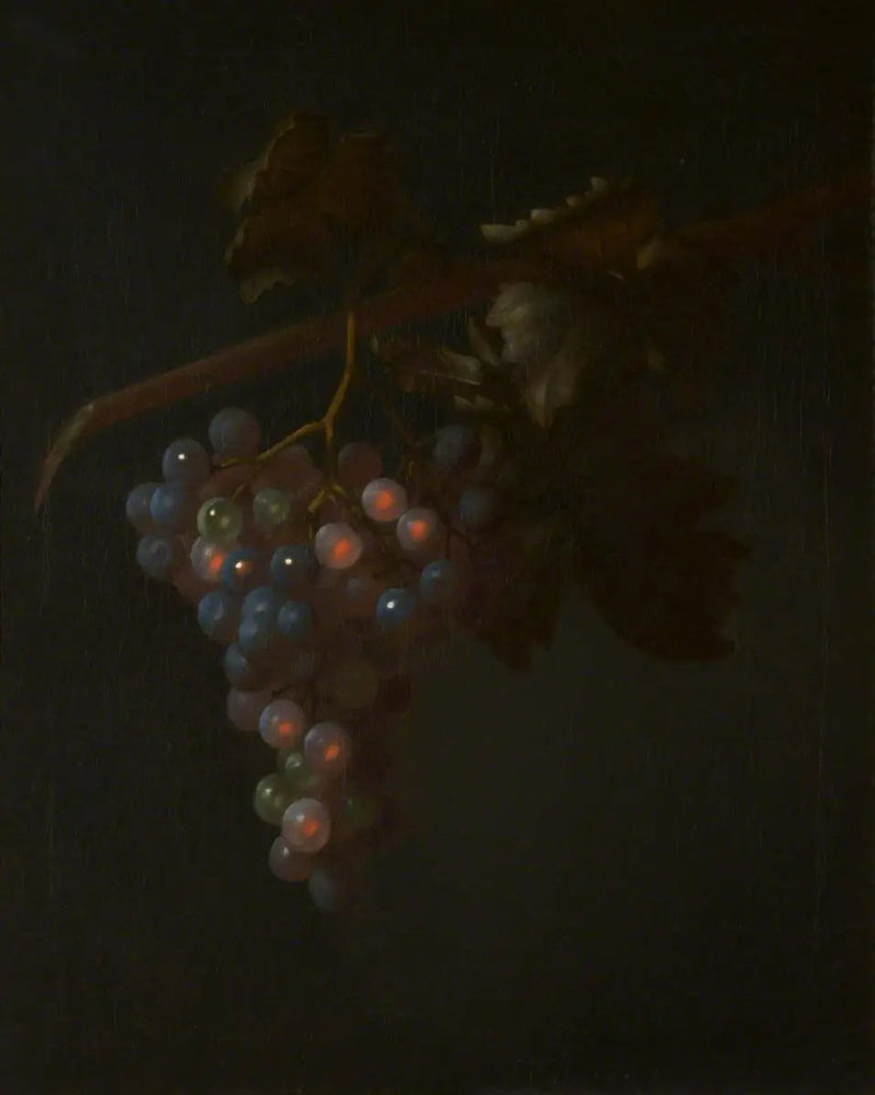 Kiść winogron - Tobias Stranover