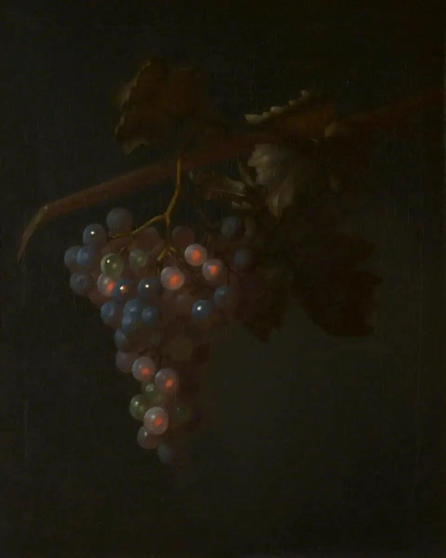 Kiść winogron - Tobias Stranover