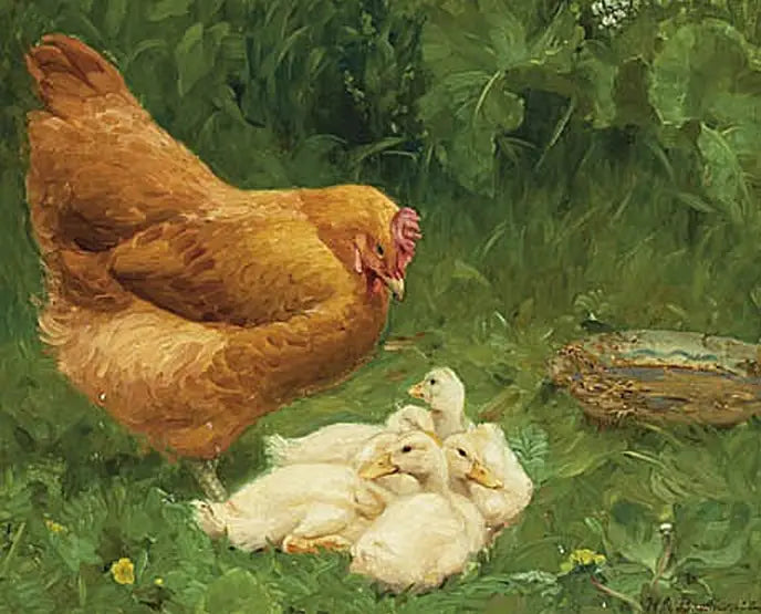 Kura i kilka kaczątek. - H. A. Brendekilde