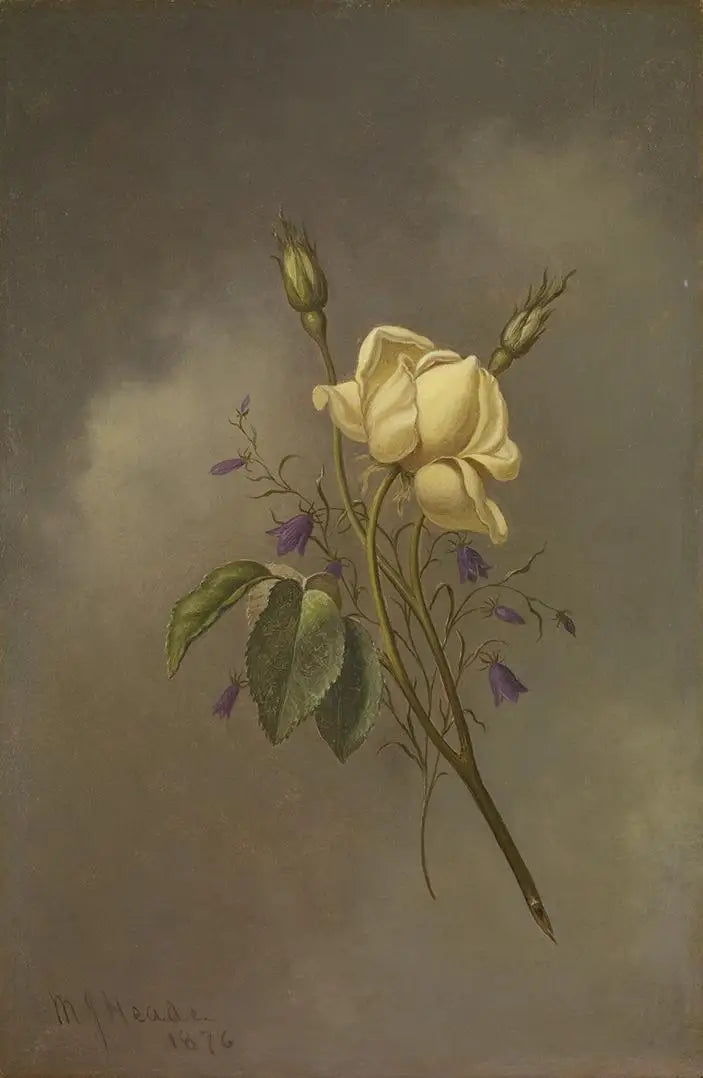 Żółta róża na tle pochmurnego nieba - Martin Johnson Heade