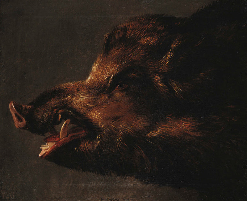 Une tête de sanglier - Frans Snyders