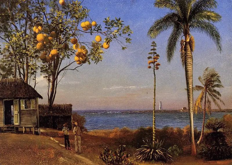 Widok na Bahamy, olej na papierze naklejonym na płótno, 48,58 x 35,24 cm - Albert Bierstadt