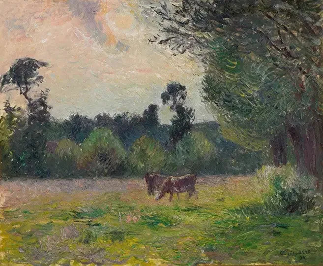 Krowy na łące, zachód słońca - Camille Pissarro