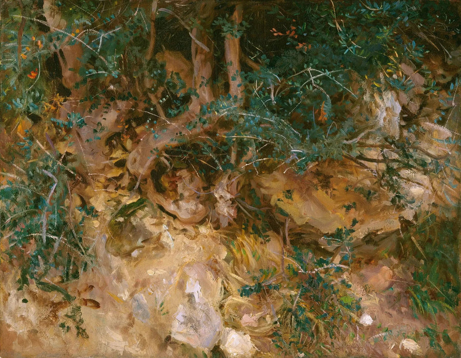 Valdemosa, Majorka: osty i zioła na wzgórzu - John Singer Sargent