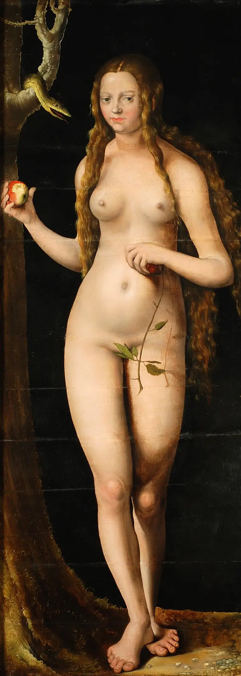 Veille - Lucas Cranach Starszy