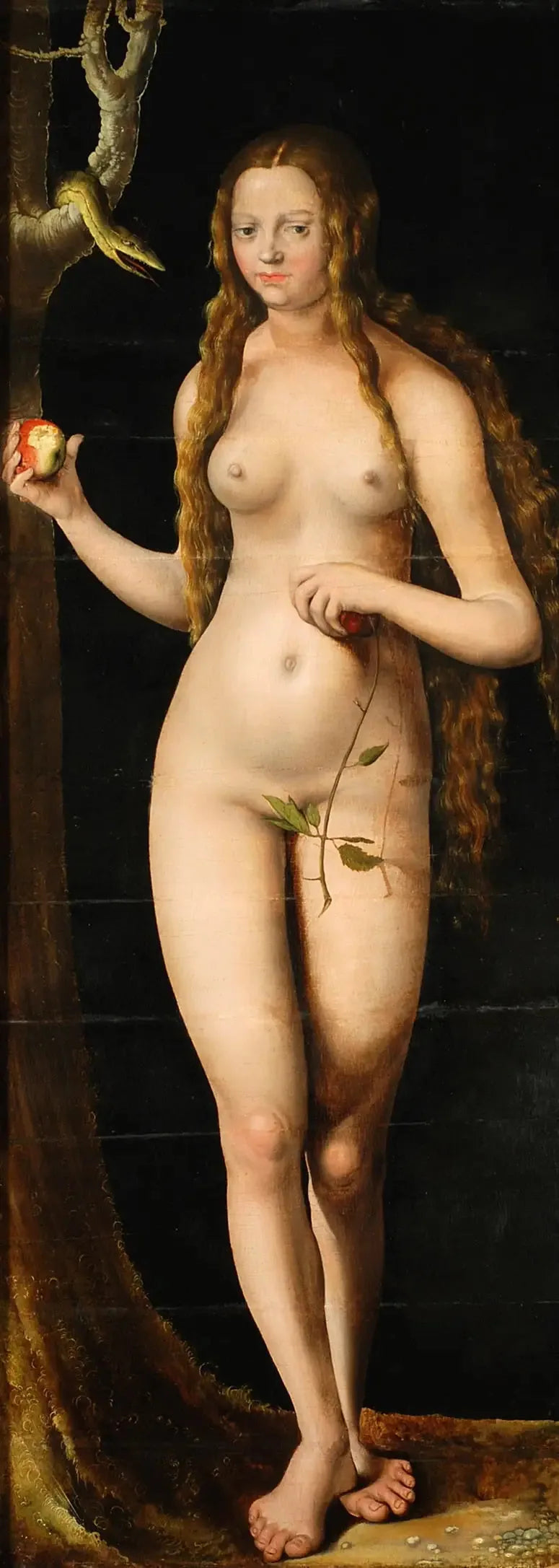 Veille - Lucas Cranach Starszy