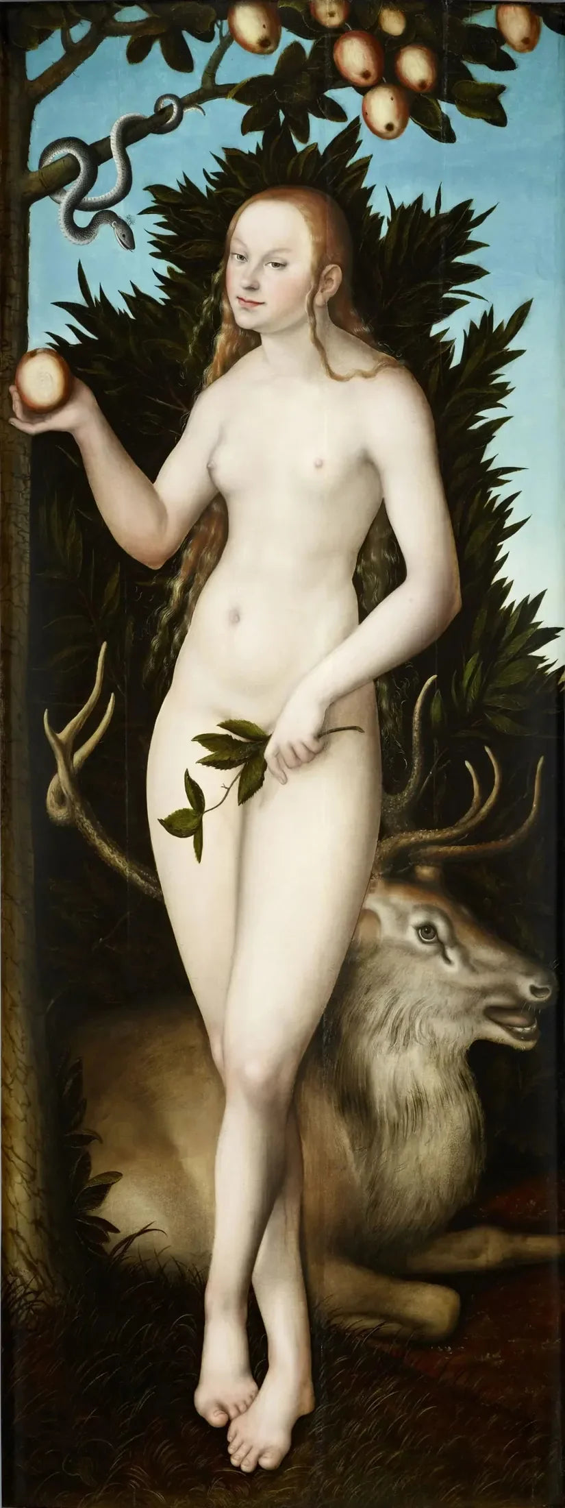 Veille - Lucas Cranach Starszy