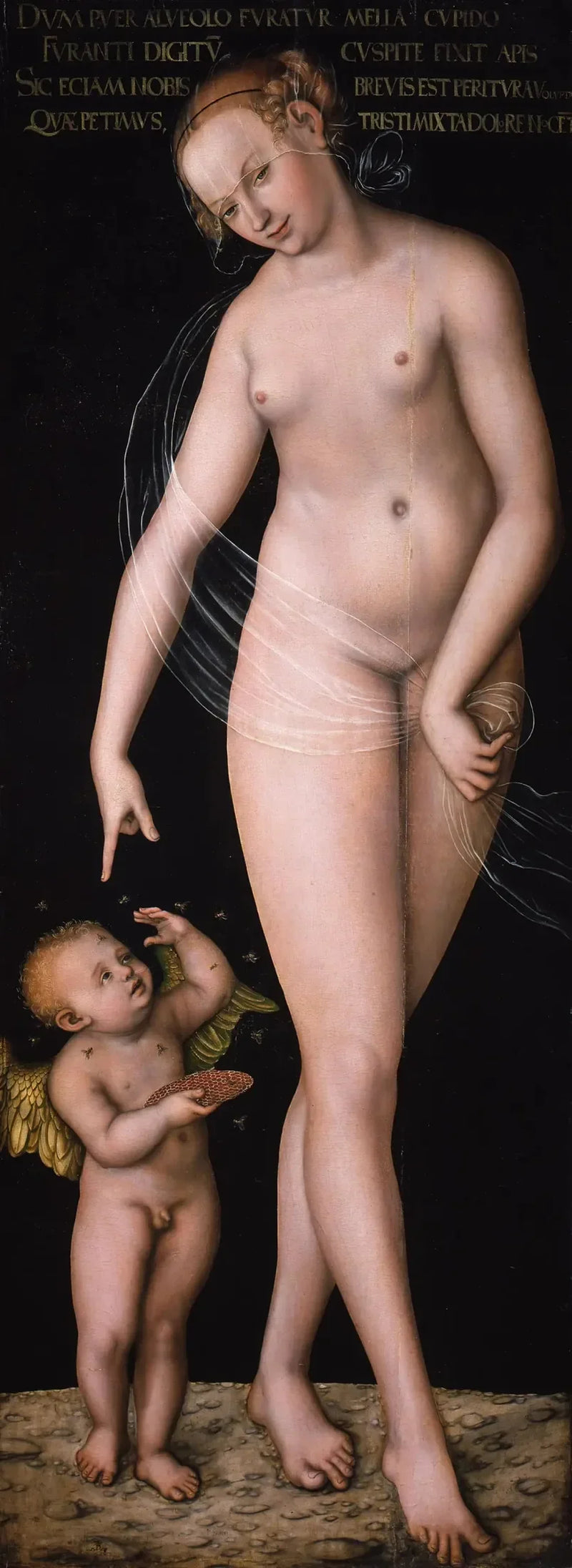 Wenus z Kupidynem, złodziejem miodu - Lucas Cranach Starszy