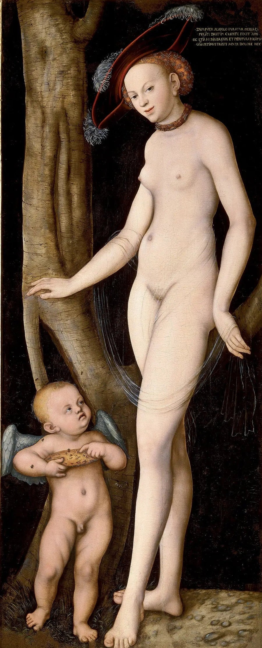 Wenus z Kupidynem złodziejem miodu - Lucas Cranach Starszy