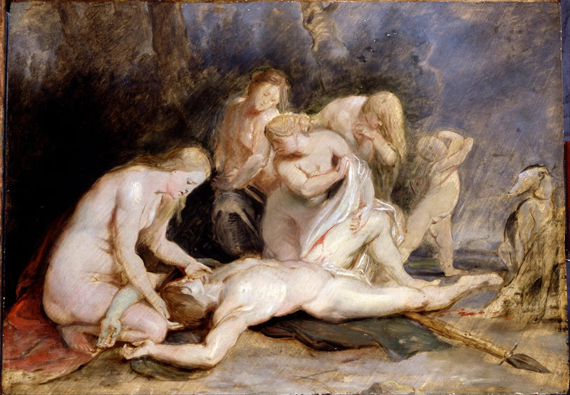 Wenus płacząca nad Adonisem - Peter Paul Rubens