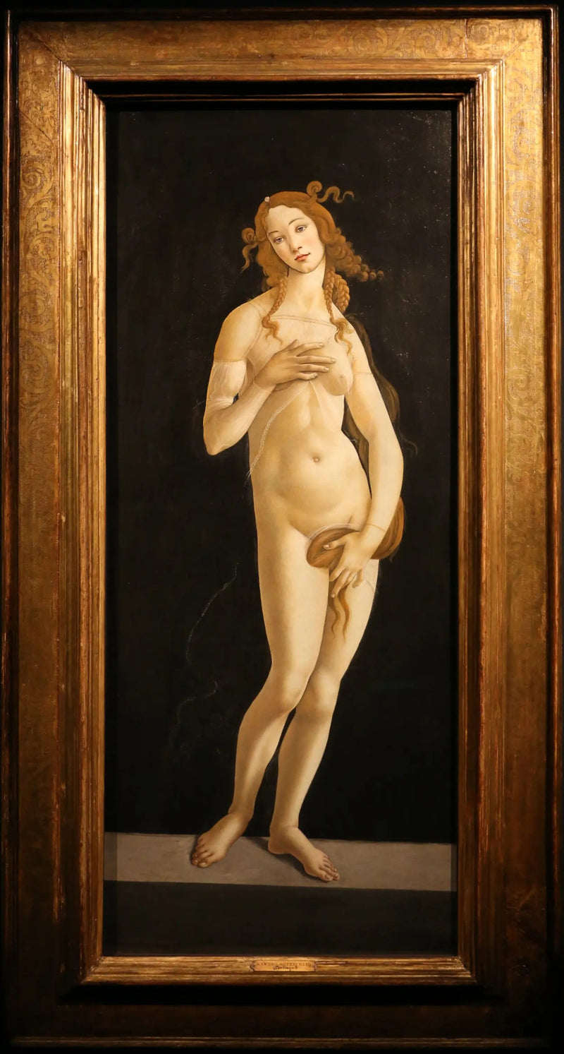 Wstydliwa Wenus - Sandro Botticelli