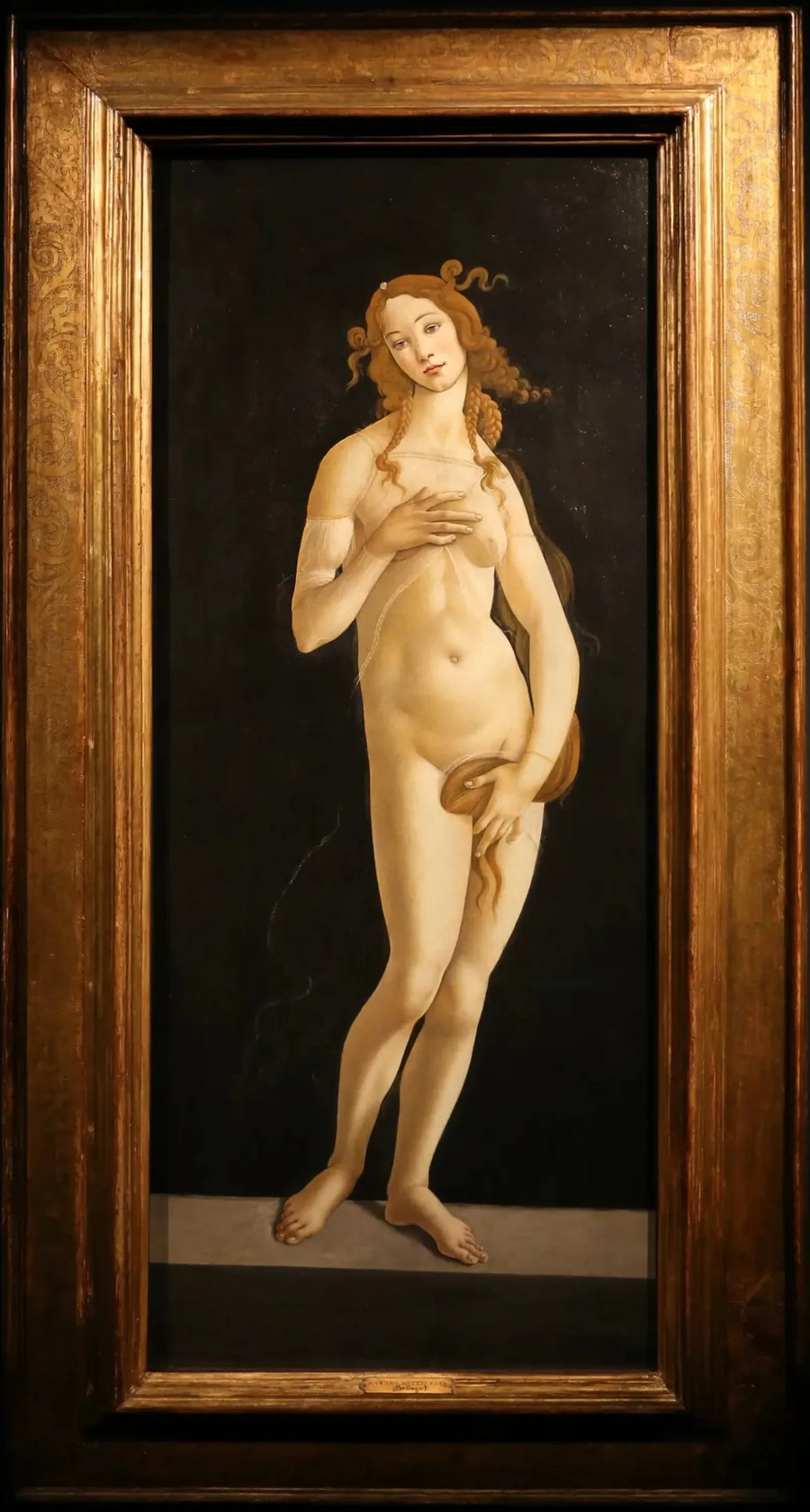 Wstydliwa Wenus - Sandro Botticelli