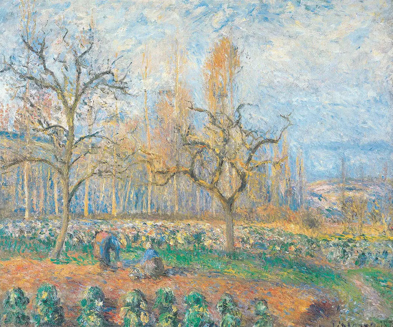Sad w Pontoise, zachód słońca - Camille Pissarro