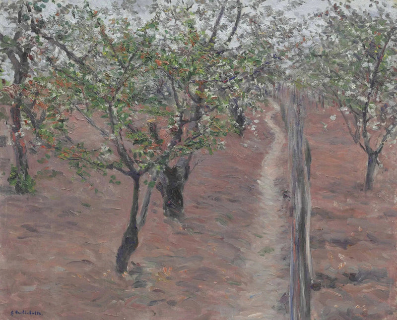 Sad, kwitnące drzewa, Petit Gennevilliers - Gustave Caillebotte