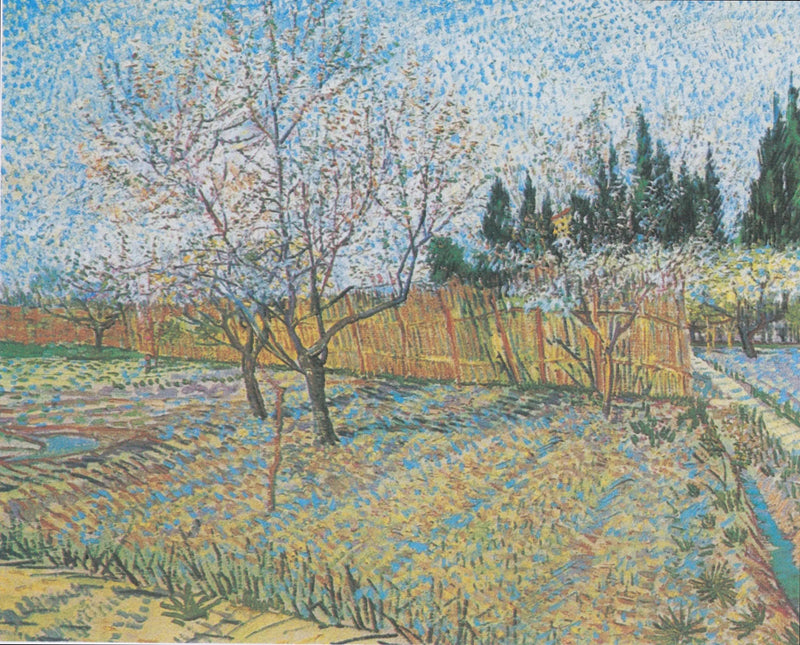 Sad z cyprysami - Vincent van Gogh