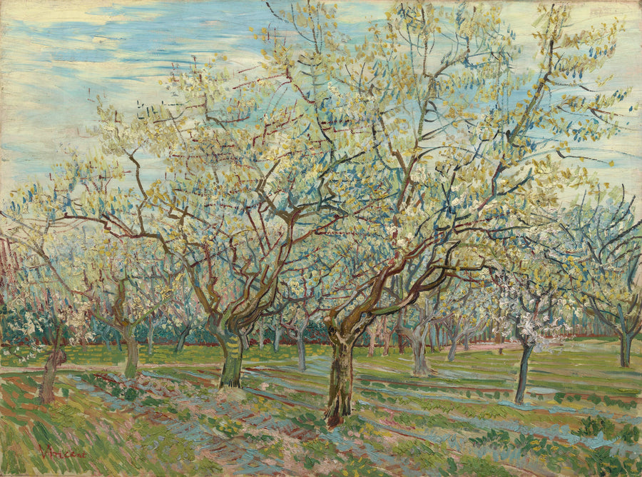 Biały sad - Vincent van Gogh