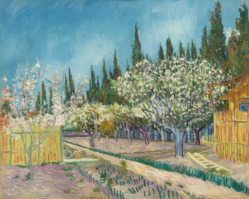 Sad w kwiecie, otoczony cyprysami - Vincent van Gogh