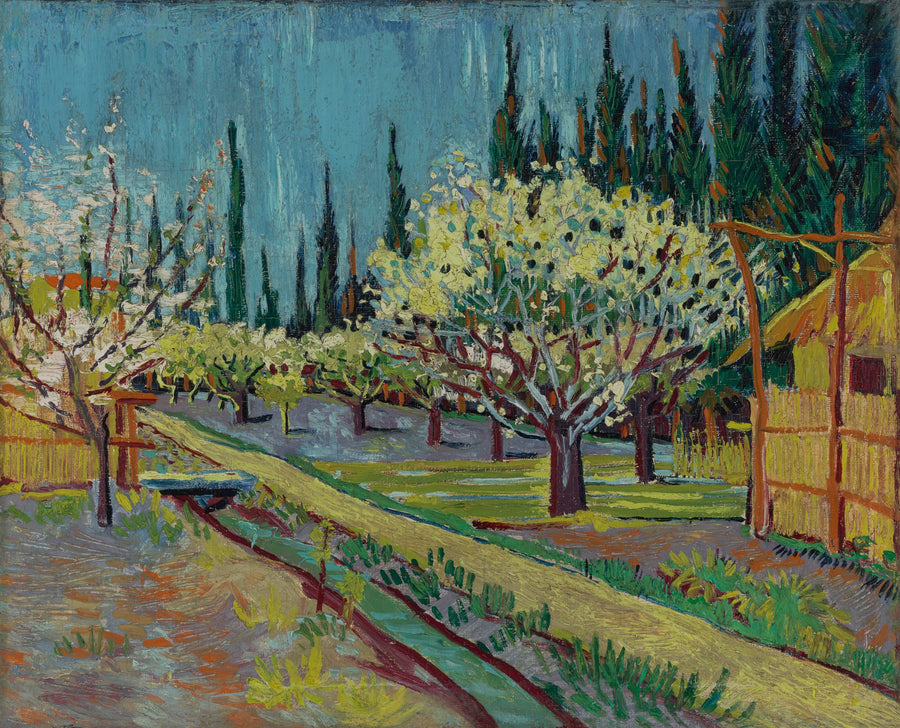 Kwitnący sad, otoczony cyprysami - Vincent van Gogh