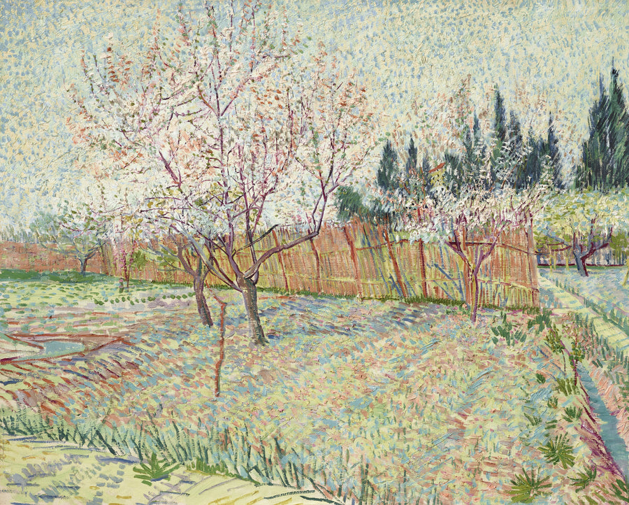 Sad z cyprysami - Vincent van Gogh